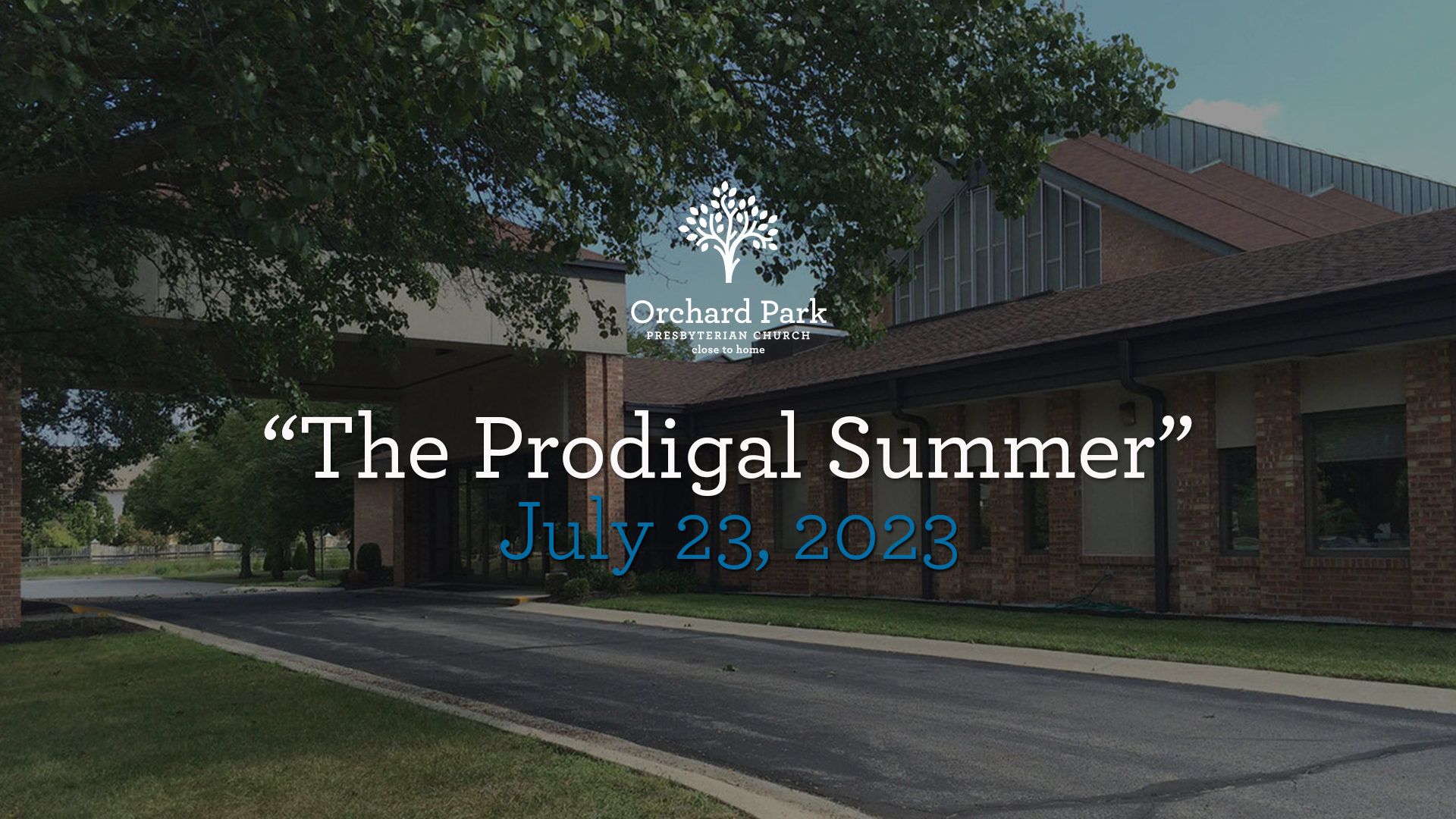 The Prodigal Summer | Orchard Park Presbyterian Church