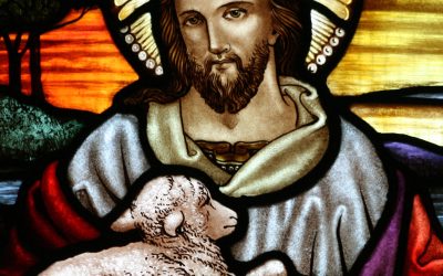 In this stained glass image of Christ the Good Shepherd from St. John Ashfield, we see the tenderness and tenacity of the God who gathers us close. Just as the Shepherd carries His lambs against His heart, God holds us through deep waters, barren fields, and seasons of doubt. Even when we feel lost or alone, He remains before us, behind us, and beside us—our strength, our guide, and our unshakable refuge.